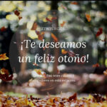 Ziwishoes | Opiniones y Reseña